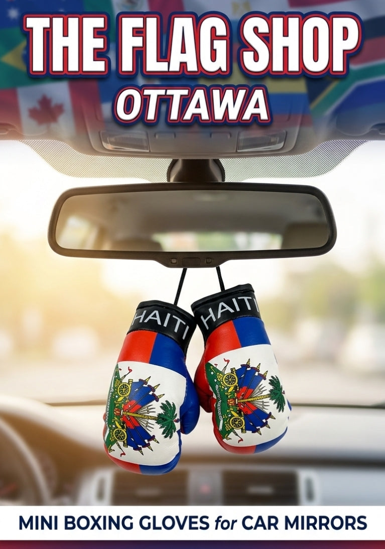 Boxing Gloves (Car Mirror)