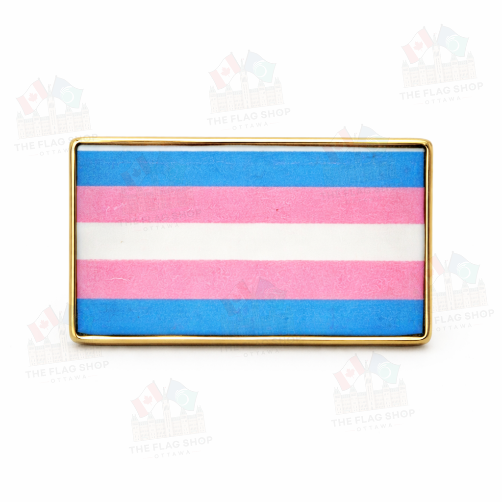 Transgender Pin