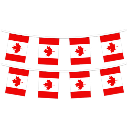 Canada Pennant 60"