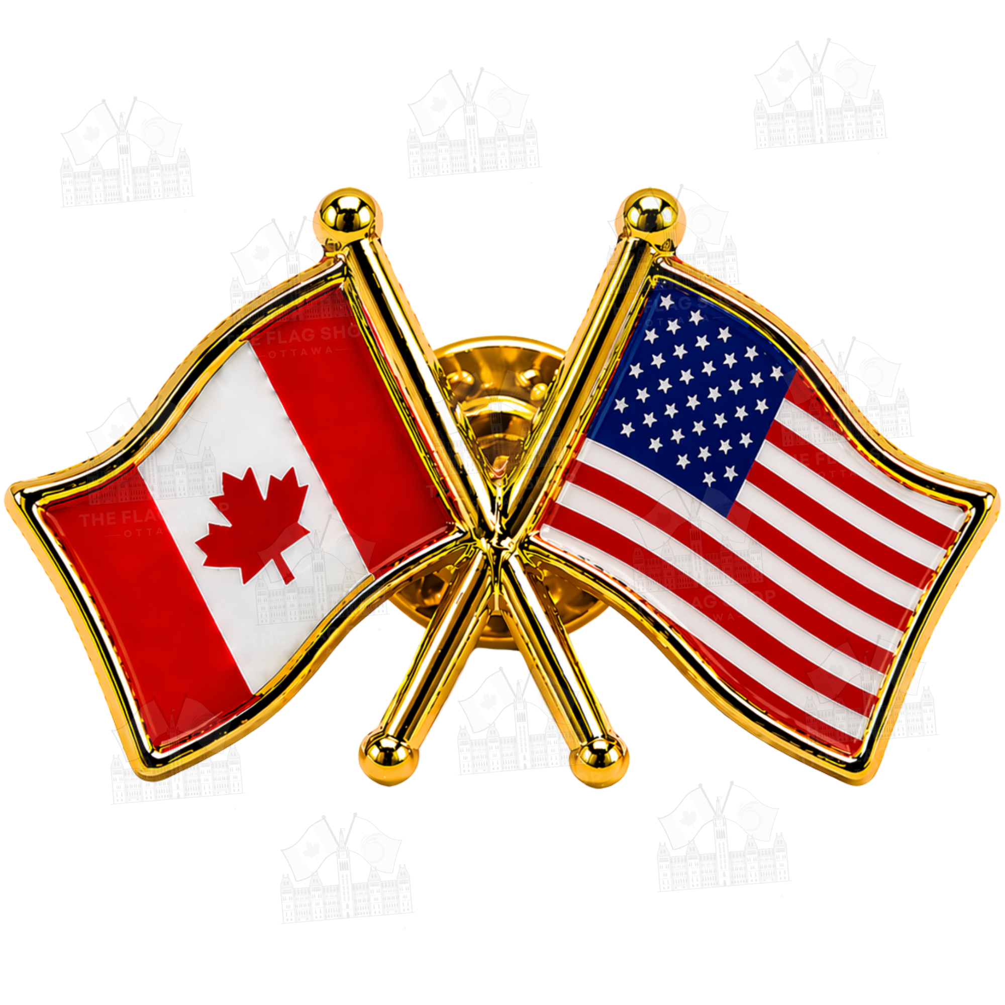 Canada x USA Friendship Pin