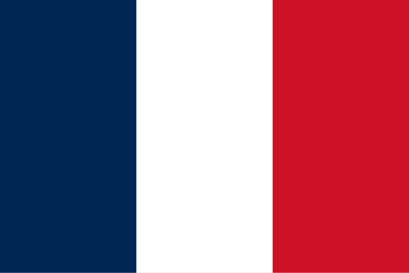 France Flag - 12x18 Inch Stick