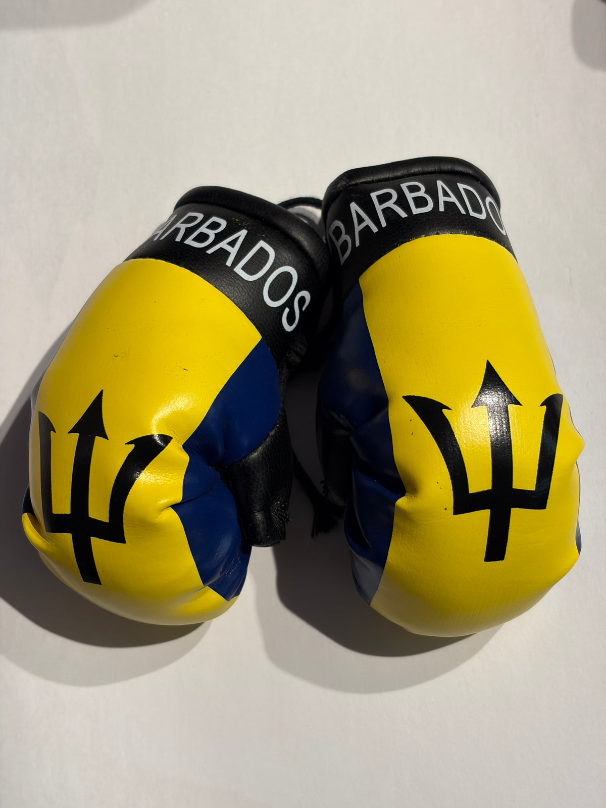 Barbados Car Mirror Boxing Gloves