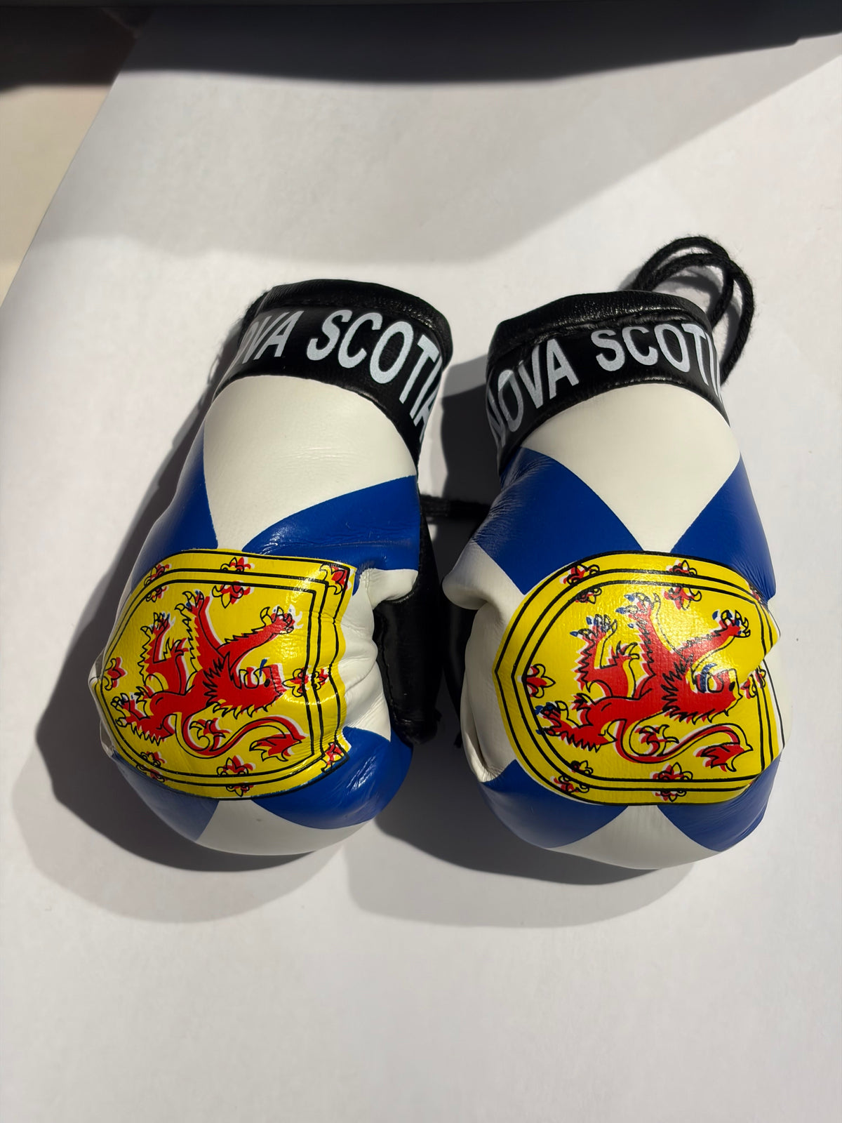 Nova Scotia Car Mirror Boxing Gloves