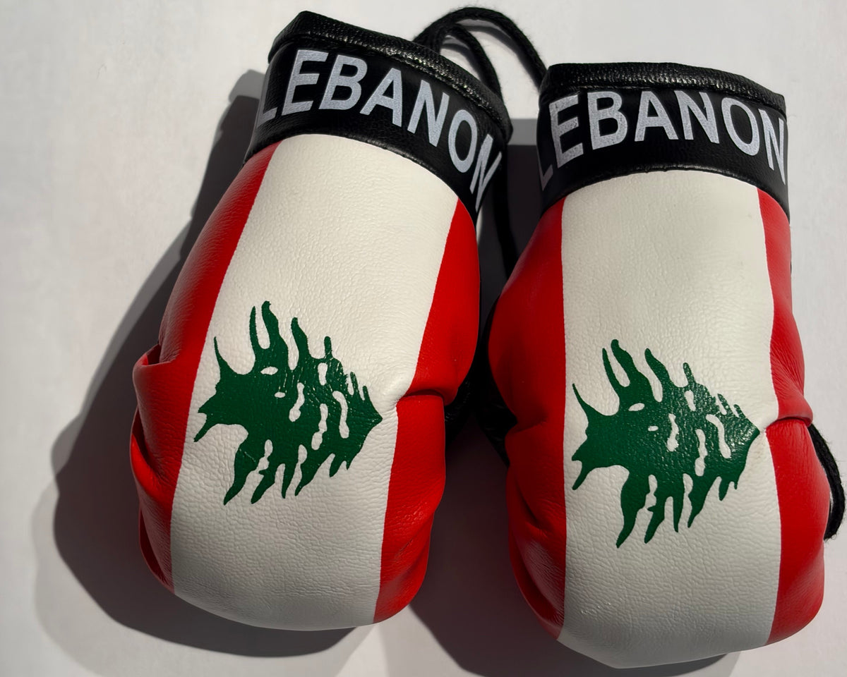 Lebanon Car Mirror Boxing Gloves