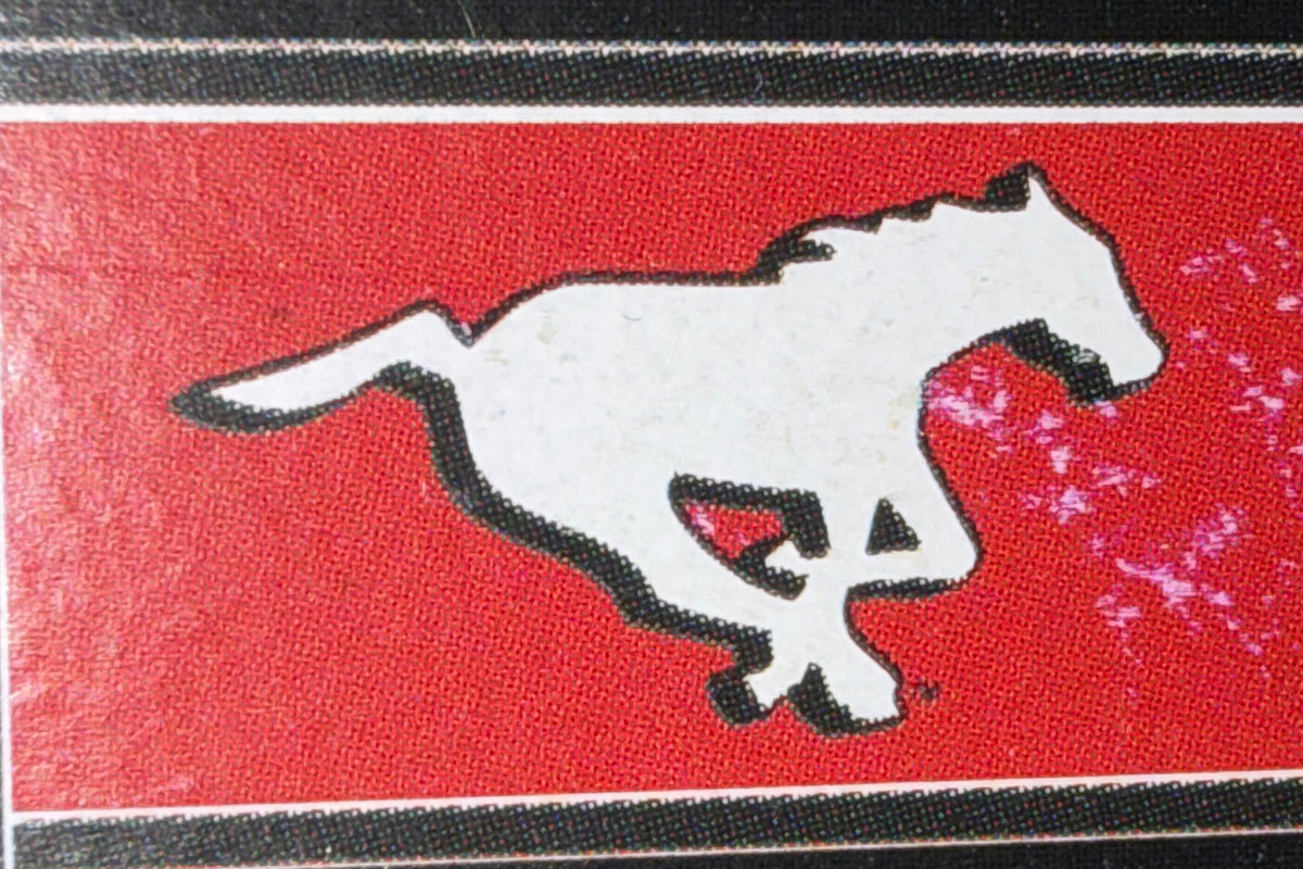 Calgary Stampeders 36x60 Inch Polyester Flag
