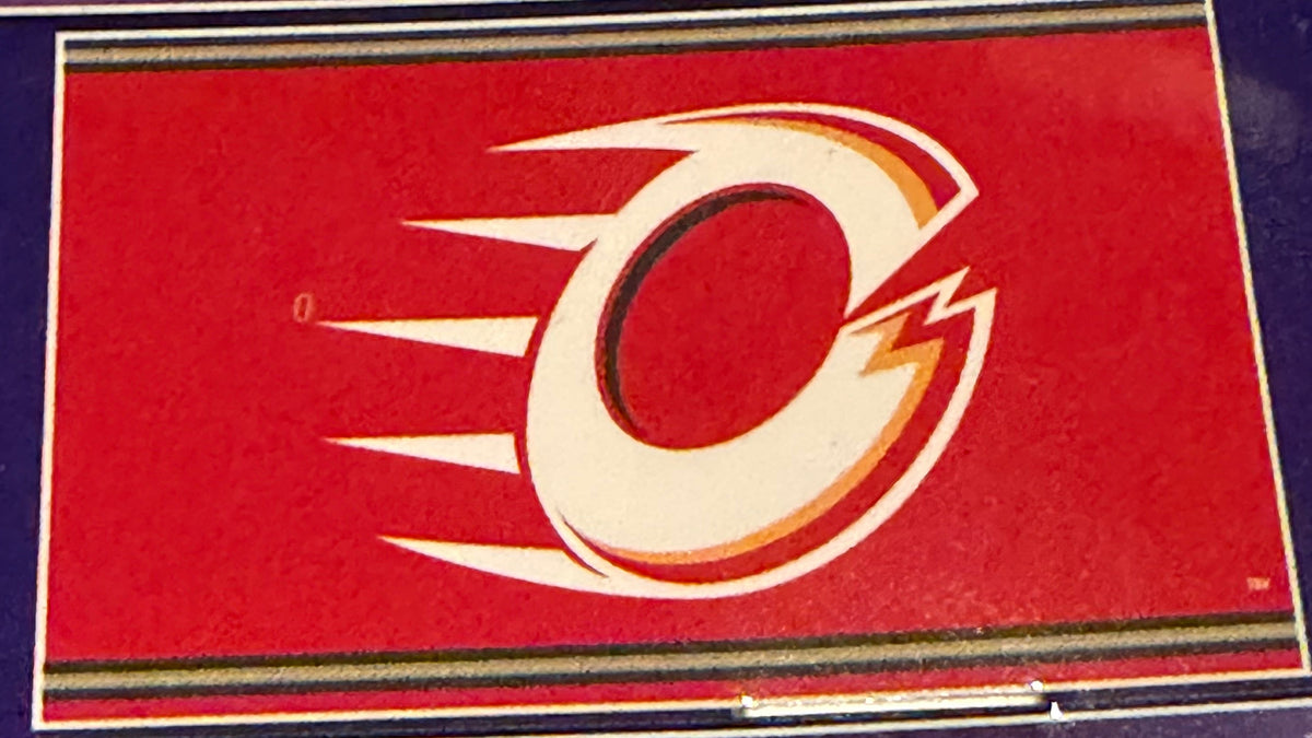 Ottawa Charge 36x60 inch Polyester Flag
