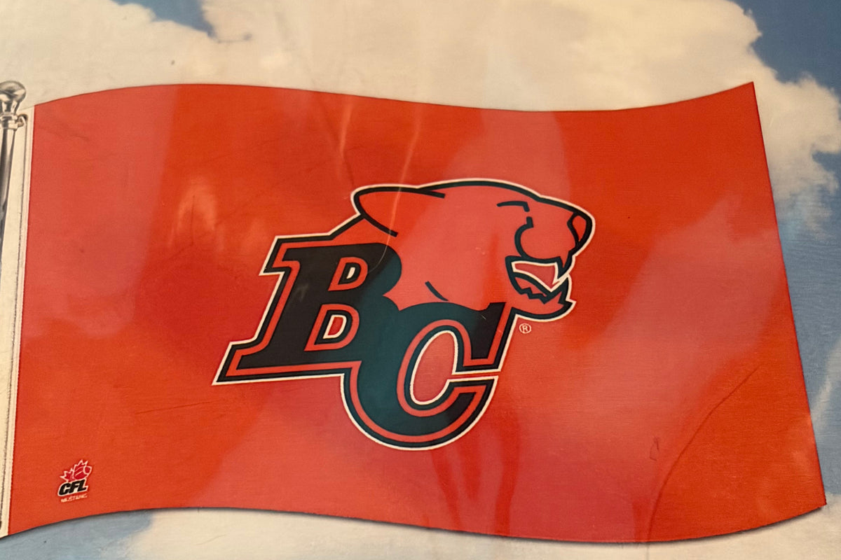 BC Lions 36x60 Inch Polyester Flag