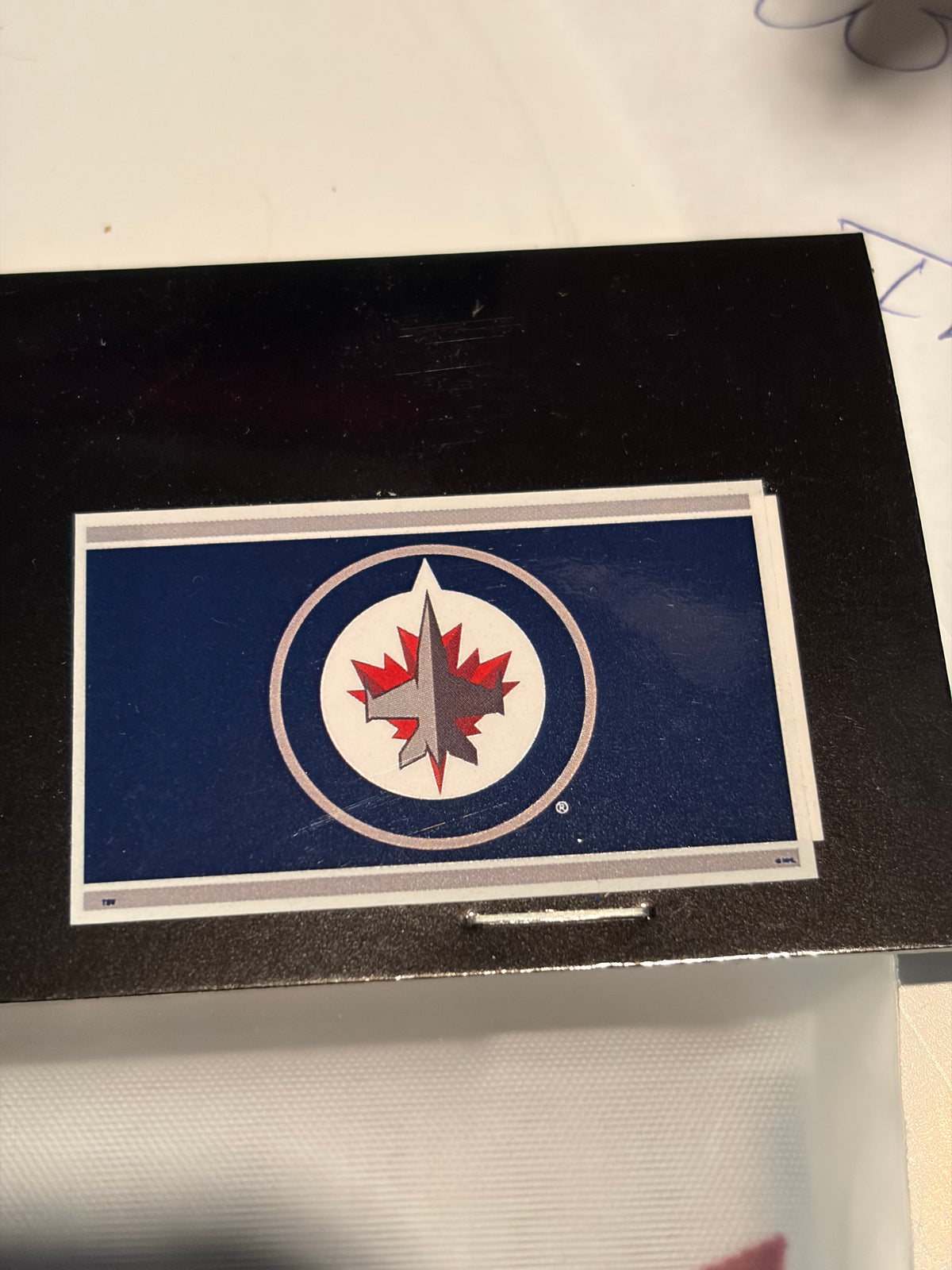 Winnipeg Jets 36x60 Inch Polyester Flag