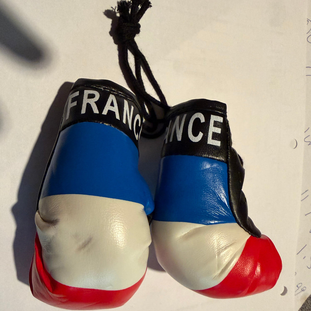 France Car Mirror Boxing Gloves