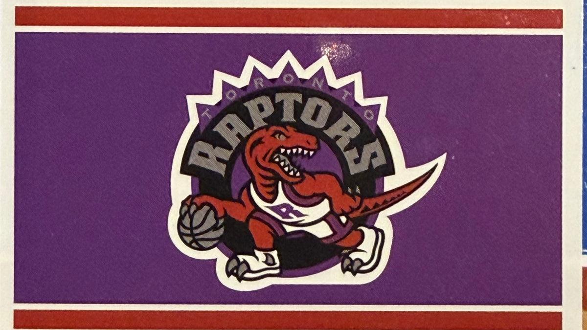 Toronto Raptors Dino 36x60 Inch Polyester Flag