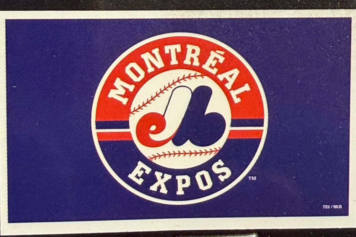 Montreal Expos 36x60 Inch Polyester Flag