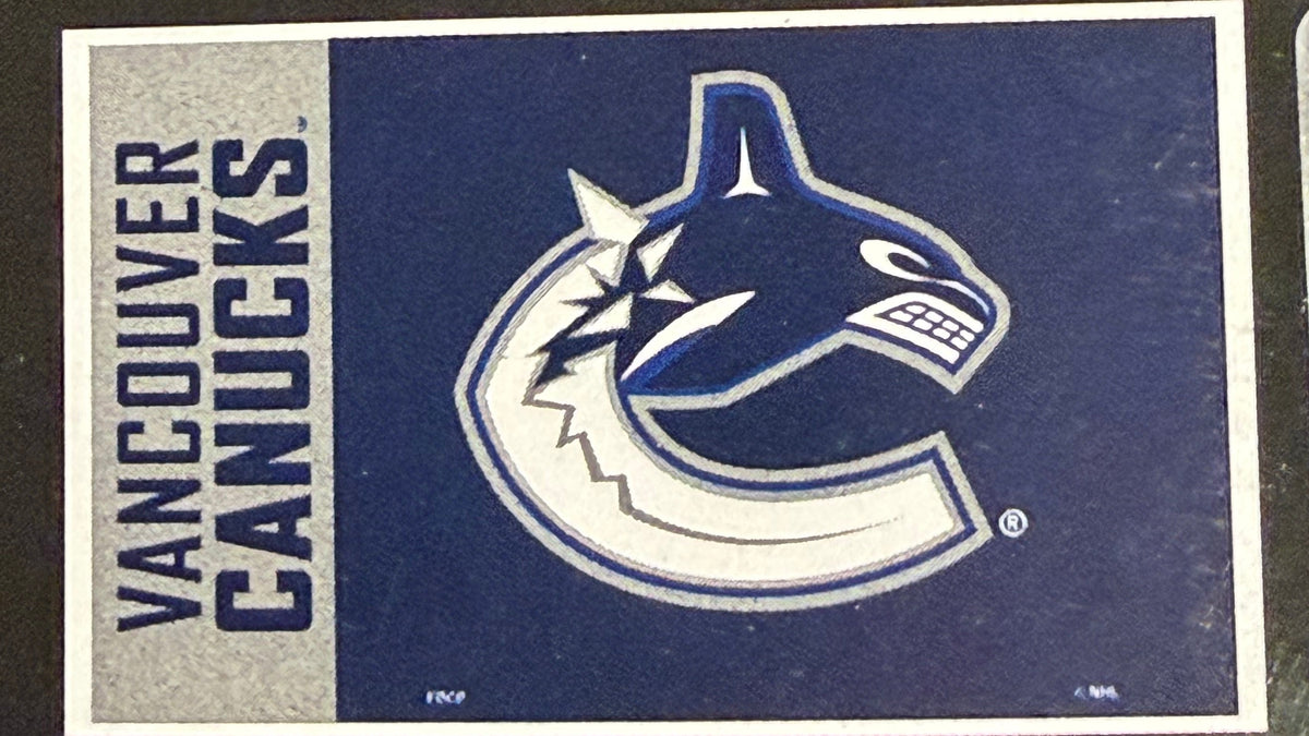 Vancouve Canucks 36x60 Inch Polyester Flag