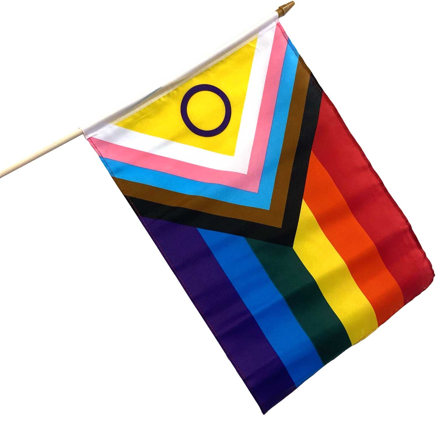 Intersex Pride Flag 12x18 Inch Stick Flag