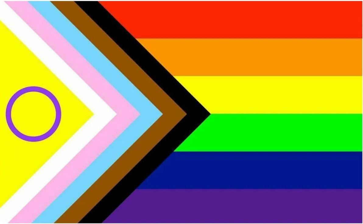 Intersex Pride Flag 54x108 Inch 200D Nylon