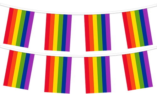 Pride pennant 40"