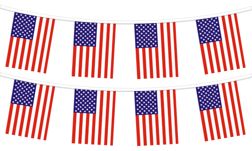 USA Pennant