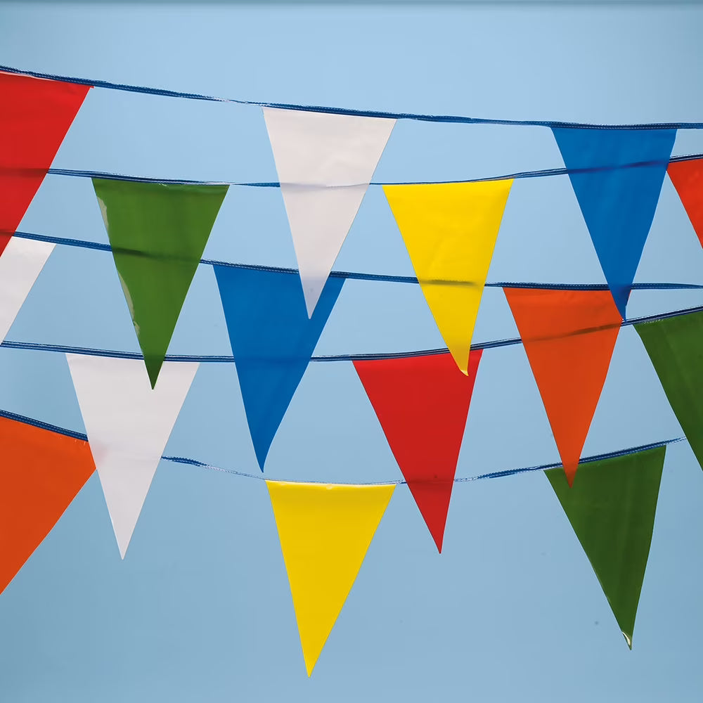 Multicoloured  Plastic Pennant String, 120′